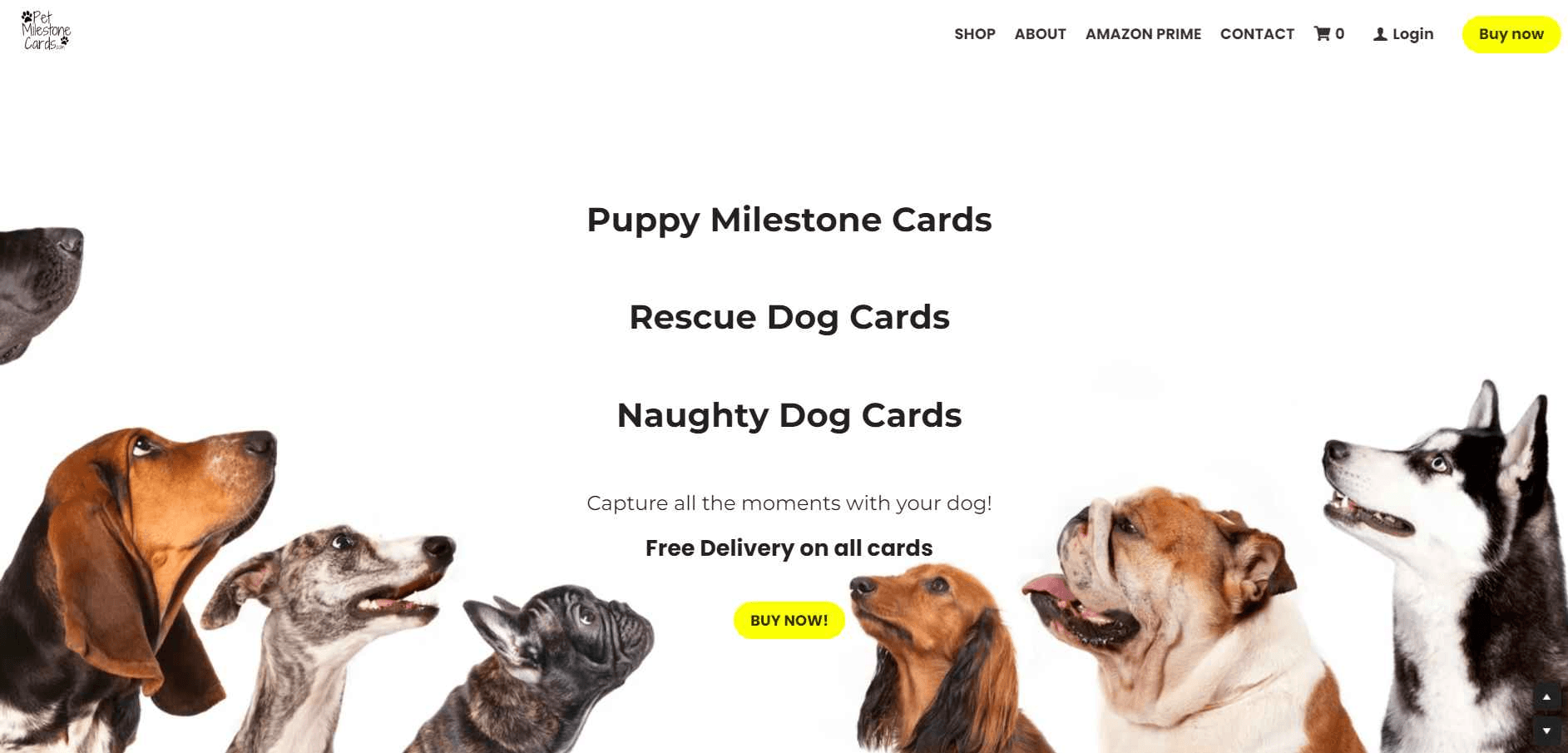 pet-ecommercewebsite-design pet-ecommercewebsite-design